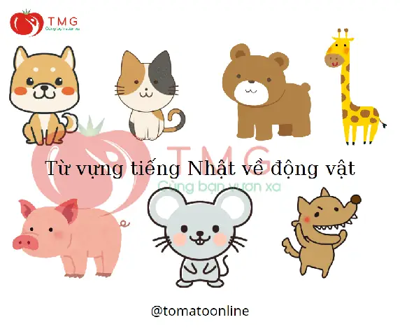 Con Hổ Tiếng Nhật Là Gì