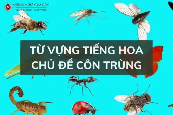 Con Rươi Tiếng Nhật Là Gì