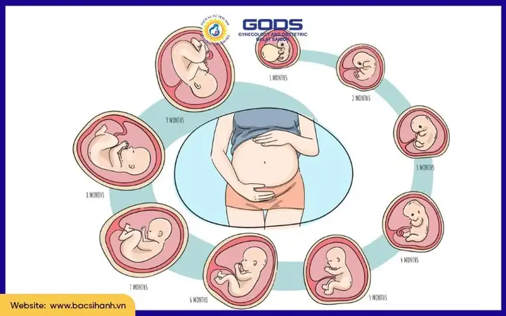 Con Yêu Mẹ Tiếng Nhật Là Gì Con Yêu Mẹ Tiếng Nhật Là Gì