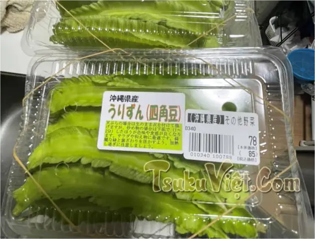 Củ Đậu Tiếng Nhật Là Gì