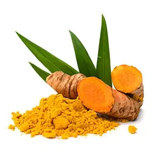 Củ Gừng Tiếng Nhật Là Gì Củ Gừng Tiếng Nhật Là Gì
