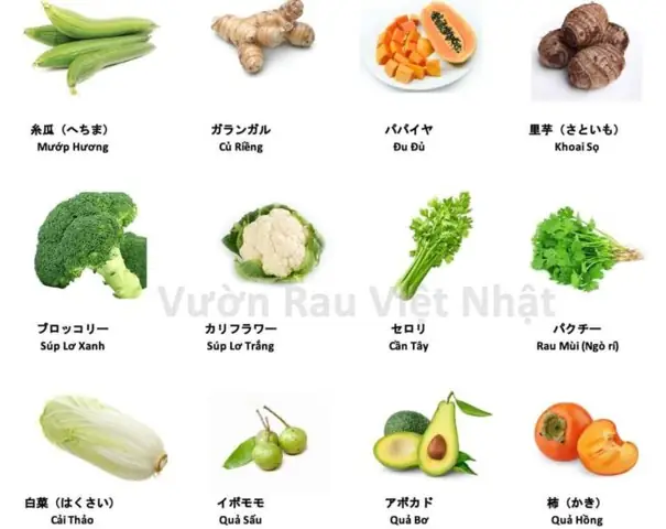 Củ Riềng Tiếng Nhật Là Gì Củ Riềng Tiếng Nhật Là Gì