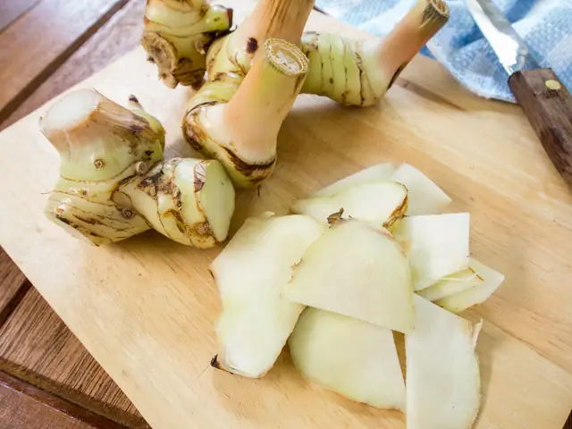 Củ Riềng Tiếng Nhật Là Gì Củ Riềng Tiếng Nhật Là Gì