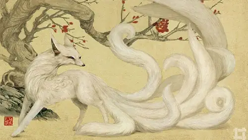 Cửu Vĩ Hồ Tiếng Nhật Là Gì