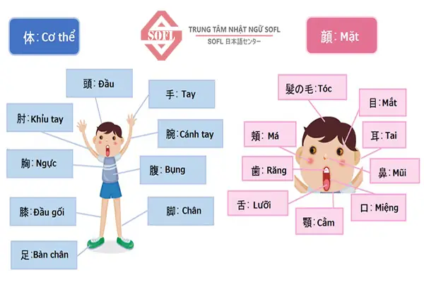 Dạ Tiếng Nhật Là Gì