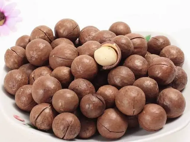 Dame Tiếng Nhật Là Gì