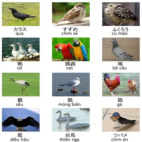 Dấu Ngã Trong Tiếng Nhật