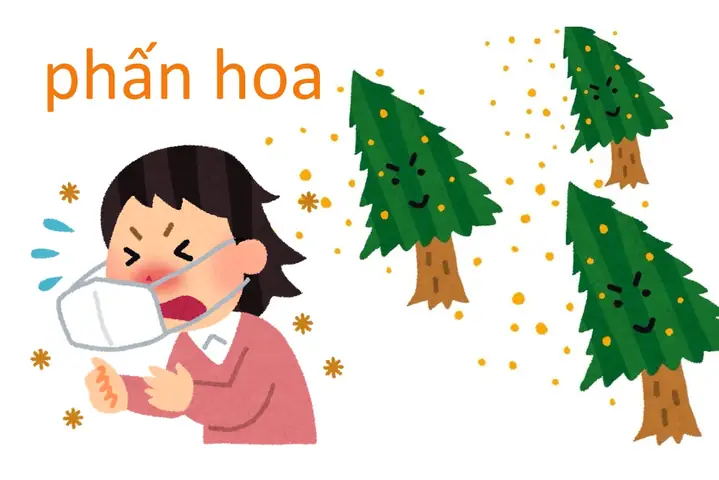 Dị Ứng Phấn Hoa Tiếng Nhật
