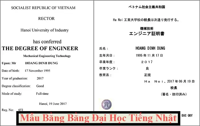 Dịch Bằng Đại Học Tiếng Nhật Dịch Bằng Đại Học Tiếng Nhật
