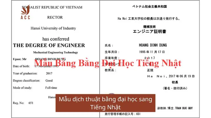 Dịch Bằng Đại Học Tiếng Nhật Dịch Bằng Đại Học Tiếng Nhật