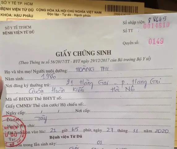 Dịch Từ Tiếng Nhật Sang Tiếng Việt Nam