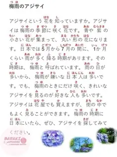 Đoạn Văn Tiếng Nhật Hiragana