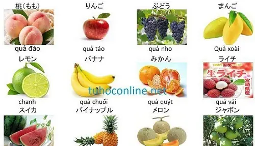 Dưa Hấu Tiếng Nhật Là Gì Dưa Hấu Tiếng Nhật Là Gì