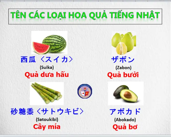 Dưa Hấu Trong Tiếng Nhật
