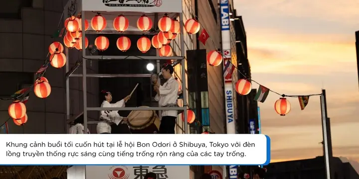 Dưới Ánh Hào Quang Tiếng Nhật Dưới Ánh Hào Quang Tiếng Nhật
