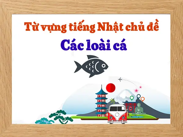 Hải Sản Tiếng Nhật Là Gì