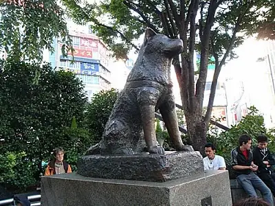 Nự Tiếng Nhật Là Gì