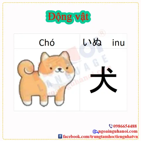 Inu Tiếng Nhật Inu Tiếng Nhật