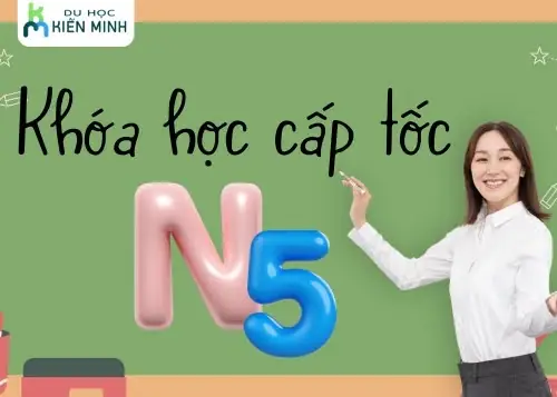 Khóa Học Tiếng Nhật N5 Online Khóa Học Tiếng Nhật N5 Online