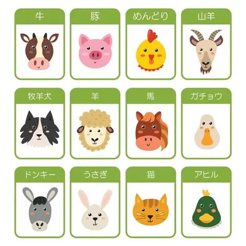 Làm Flashcard Tiếng Nhật