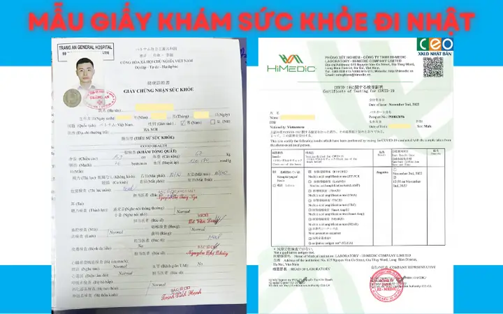 Mẫu Giấy Khám Sức Khỏe Tiếng Nhật