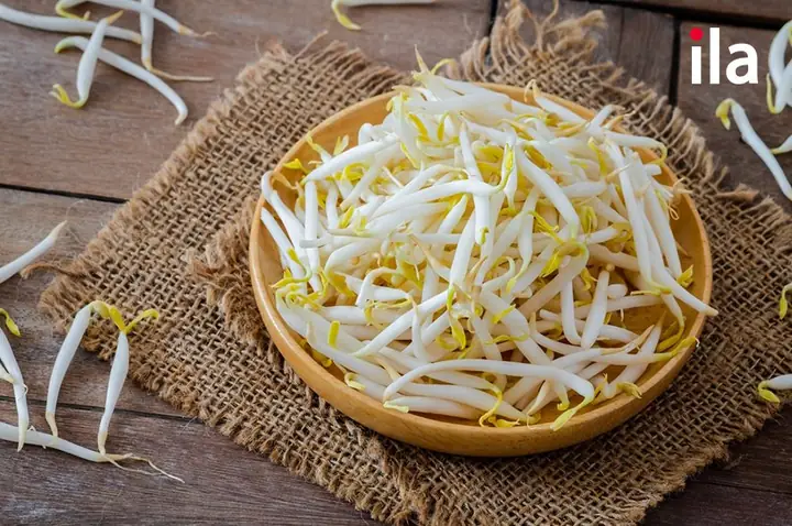 Nấu Ăn Tiếng Nhật Đọc Là Gì Nấu Ăn Tiếng Nhật Đọc Là Gì