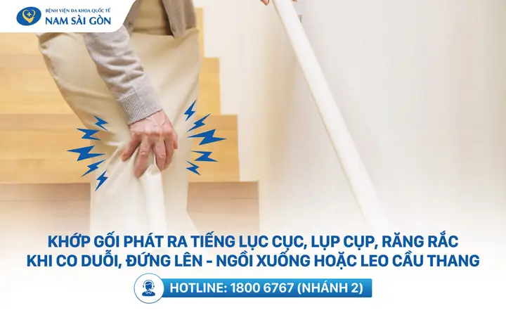 Ngồi Xuống Tiếng Nhật Ngồi Xuống Tiếng Nhật