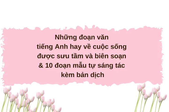 Những Đoạn Văn Tiếng Nhật Hay