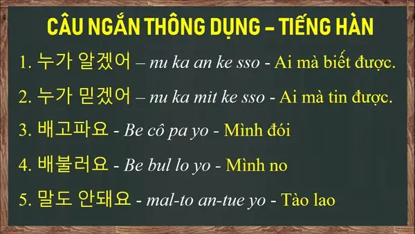Những Từ Giao Tiếp Cơ Bản Tiếng Nhật Những Từ Giao Tiếp Cơ Bản Tiếng Nhật