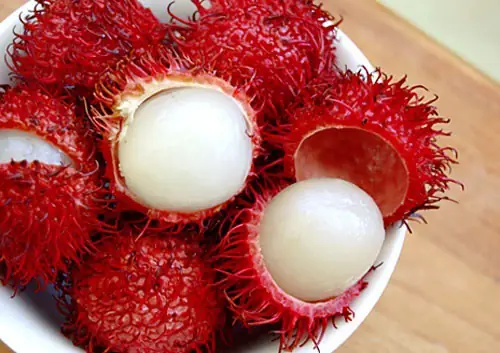 Quả Chôm Chôm Tiếng Nhật