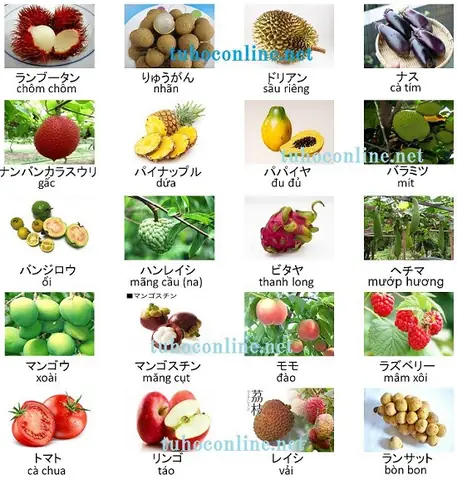 Quả Chôm Chôm Tiếng Nhật