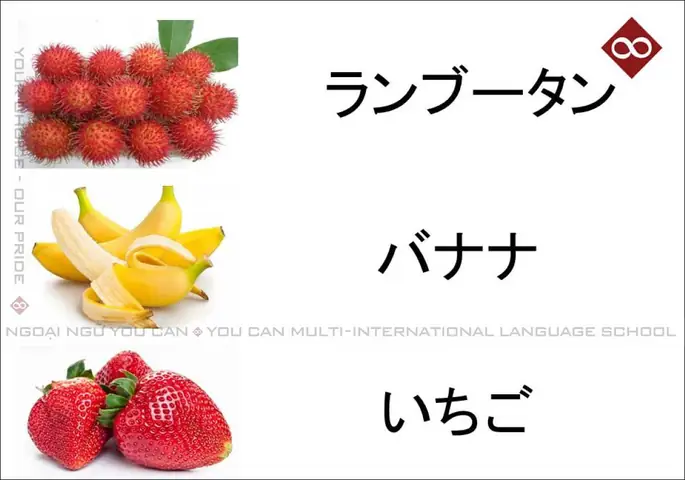 Quả Chôm Chôm Tiếng Nhật