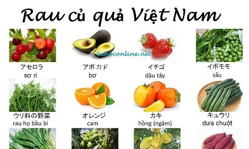 Quả Sấu Tiếng Nhật Quả Sấu Tiếng Nhật