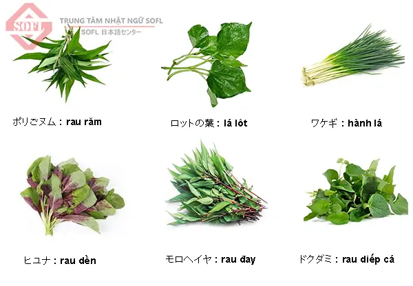 Rau Muống Tiếng Nhật