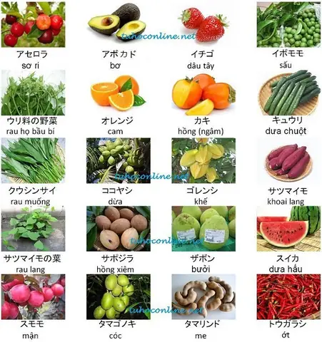 Rau Muống Tiếng Nhật