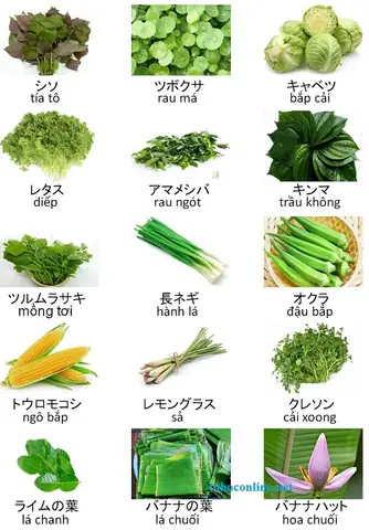 Rau Muống Tiếng Nhật