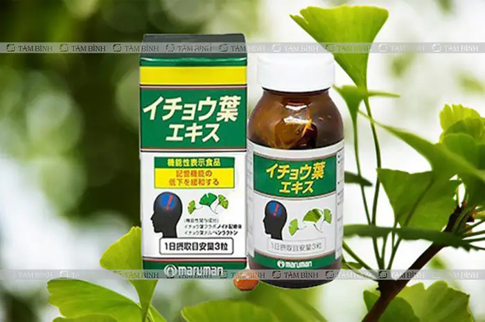 Rối Loạn Tiền Đình Tiếng Nhật Là Gì Rối Loạn Tiền Đình Tiếng Nhật Là Gì