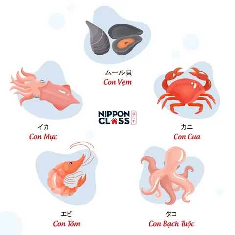San Trong Tiếng Nhật Là Gì San Trong Tiếng Nhật Là Gì