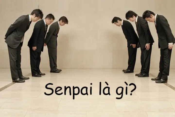 Senpai Là Gì Trong Tiếng Nhật