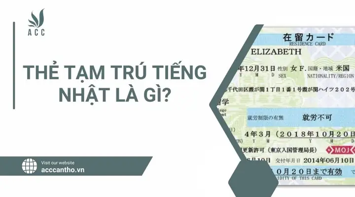 Sex Tiếng Nhật Là Gì Sex Tiếng Nhật Là Gì