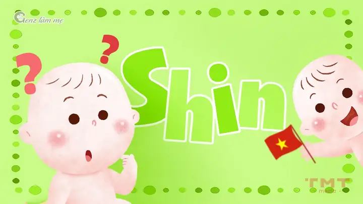 Shin Tiếng Nhật Nghĩa Là Gì