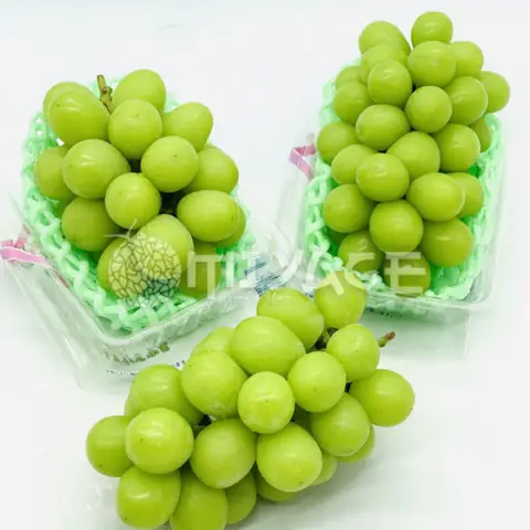 Shine Tiếng Nhật Là Gì