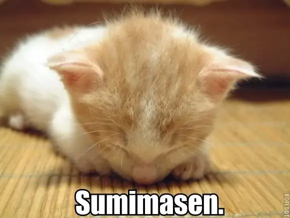 Sumimasen Tiếng Nhật Là Gì