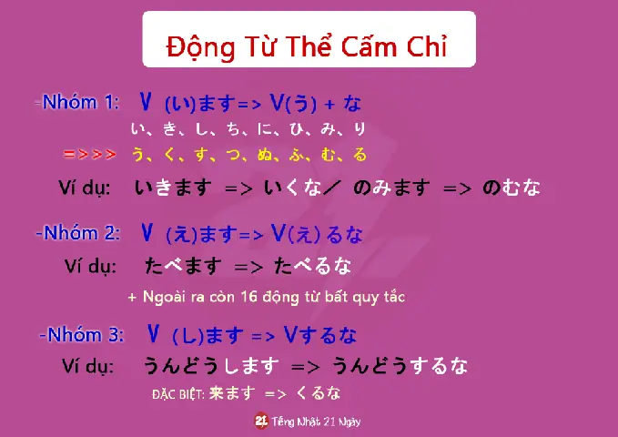 Tất Cả Các Thể Trong Tiếng Nhật