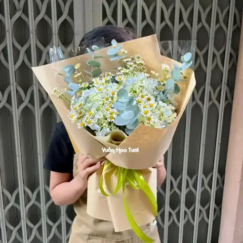 Tên Tiếng Nhật Của Hoa Cẩm Tú Cầu