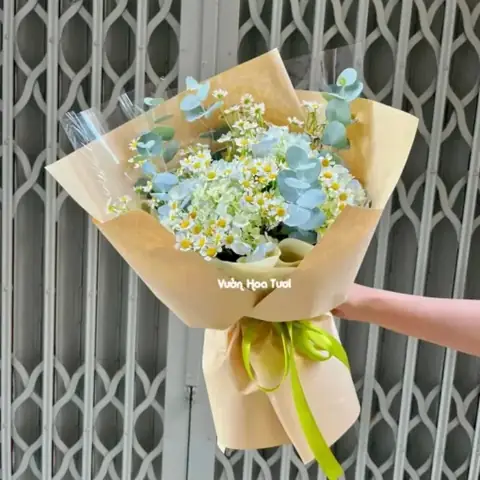 Tên Tiếng Nhật Của Hoa Cẩm Tú Cầu