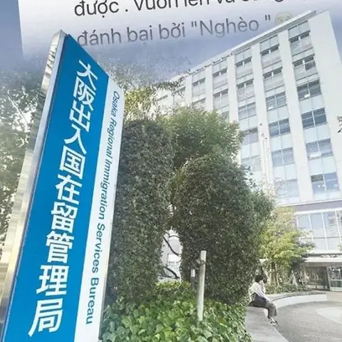 Thi Hộ Tiếng Nhật
