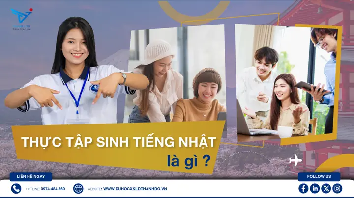 Thực Tập Sinh Tiếng Nhật Là Gì