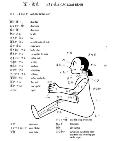Tiếng Nhật Bài 17 Tiếng Nhật Bài 17