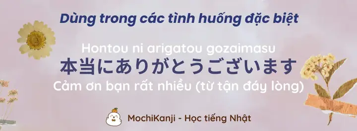 Tiếng Nhật Cảm Ơn Là Gì